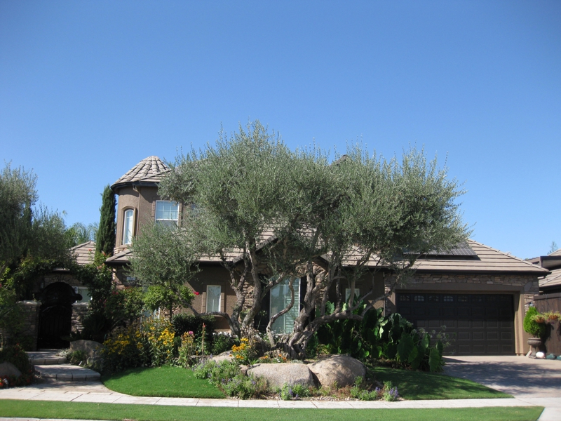 Market Watch Historic Wawona Ranch Homes Clovis, Ca. 93619